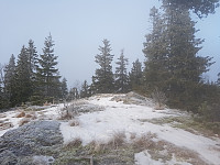 Ernjoh_20171125_5a1983c46d4ed.jpg