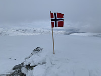 OPetter_20200412_5e931c41df689.jpg