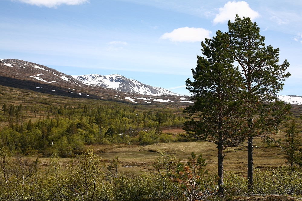 I retning toppen, som ikke sees herfra, men som ligger til venstre for den snørike toppen i midten av bildet, Veslskarven