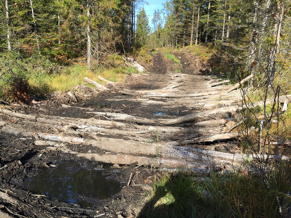 Stokkelagt skogsbilvei. Kom meg tørrskodd over