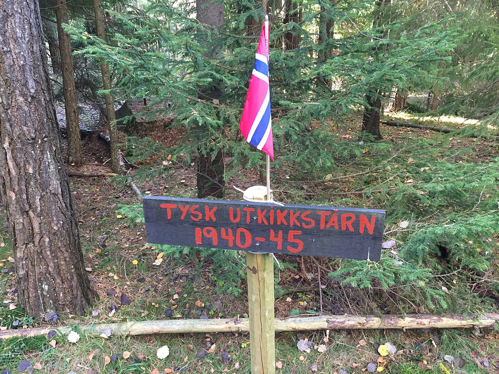 Østento, feilaktig kalt Østentorøysa på Peakbook(?)