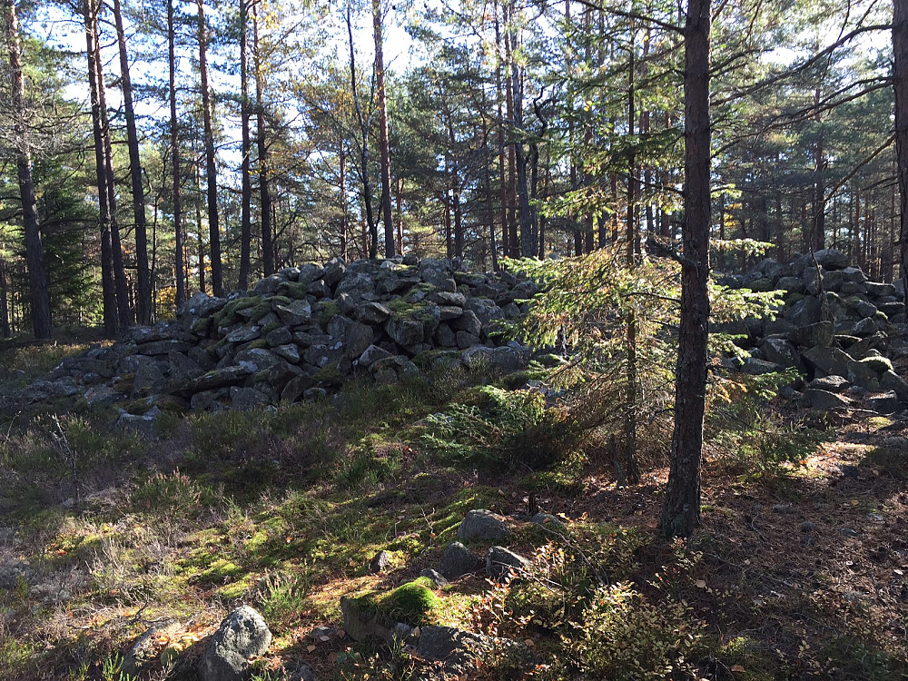 Østentorøysa
