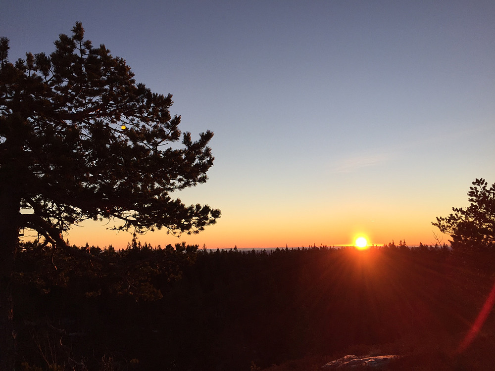 Utsikt mot sørøst, med morgensolen