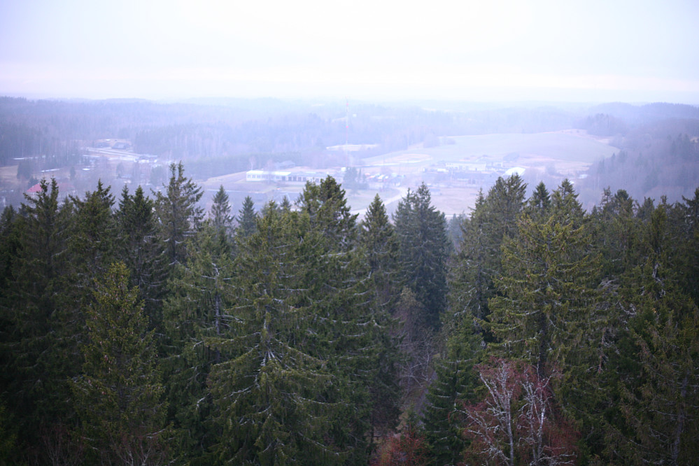 Utsikt fra toppen av tårnet