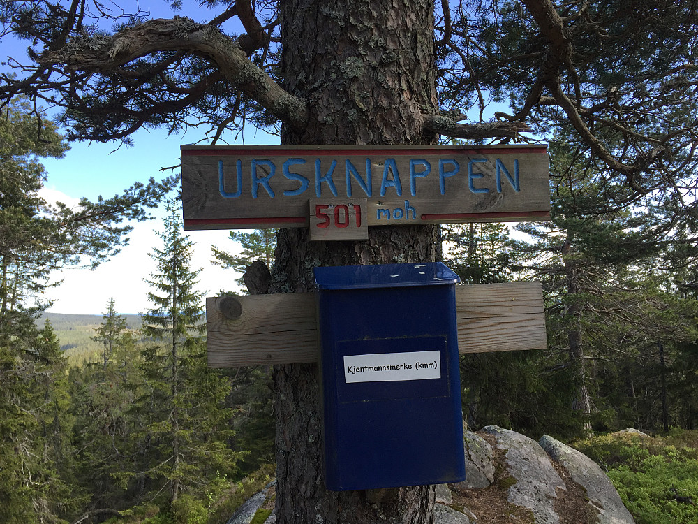 Ursknappen, toppen