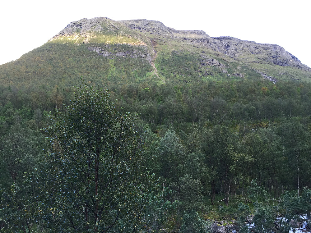 Min vei opp, via renne/kløft midt i bildet, sett fra Skardalen på returen. 