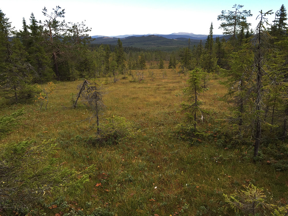 Nord for toppen, litt utsikt mot Trysil