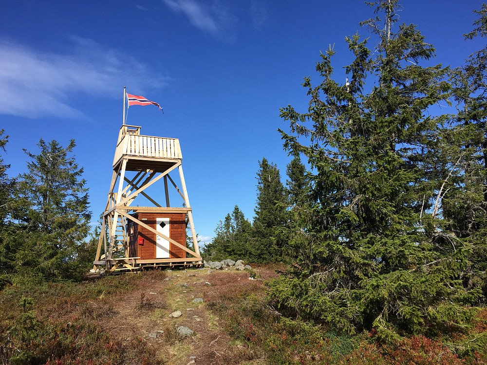 Toppen med tårnet