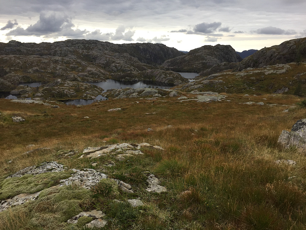 Langvatnan