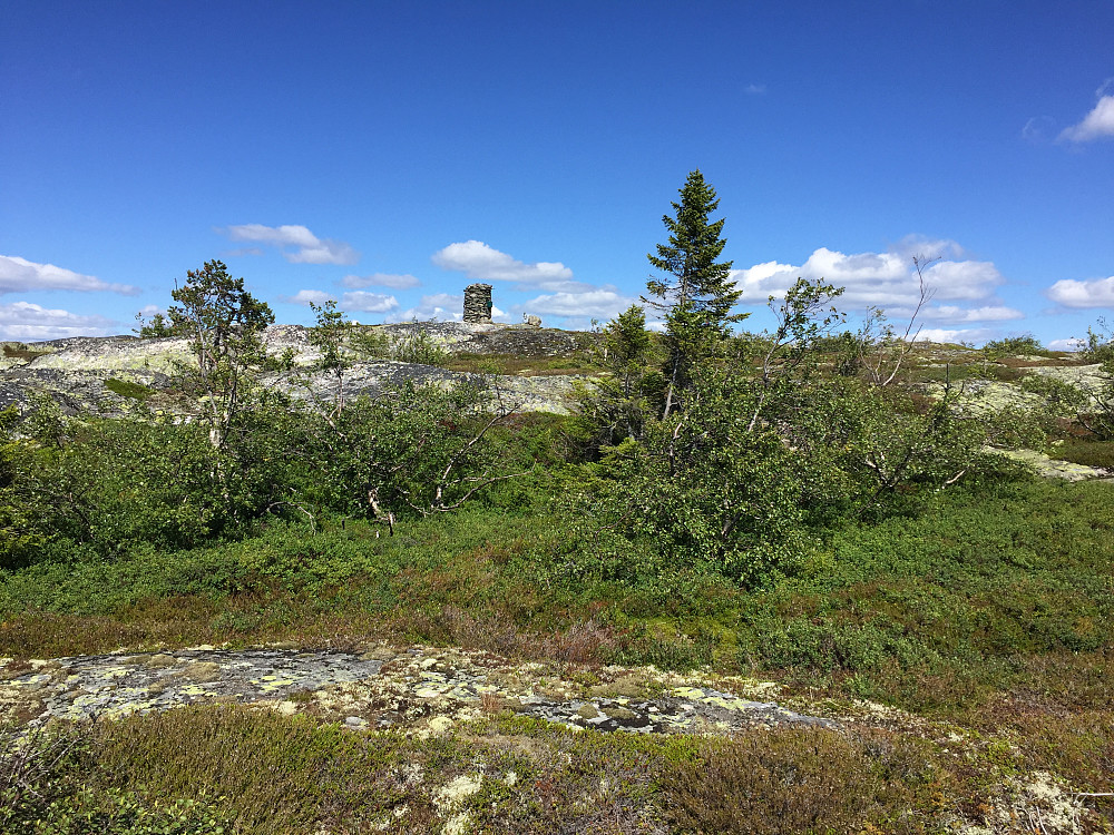 Varden på fagerliheii