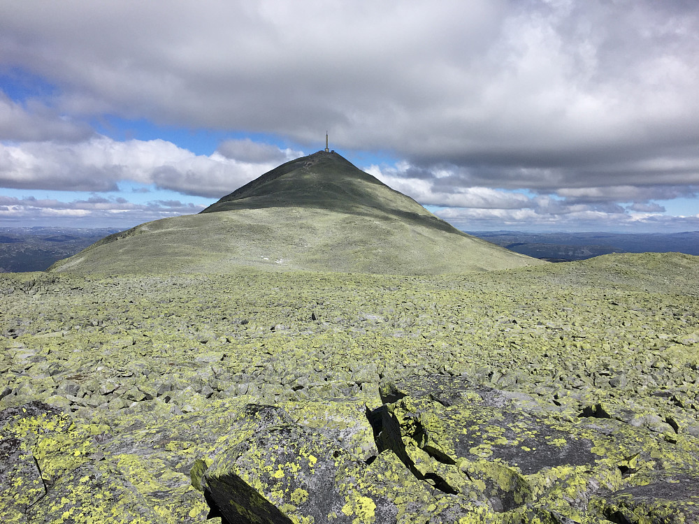 Gaustadtoppen sett fra Gaustadråen