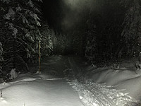 Gråbein_20180425_5ae05861ed830.jpg