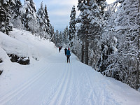 Gråbein_20180425_5ae0587f385b2.jpg