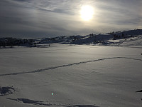 Gråbein_20180425_5ae058a80bec2.jpg