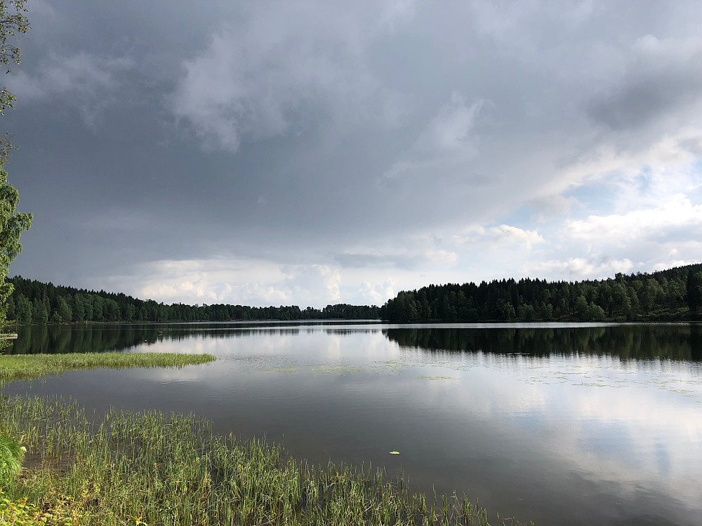 Sognsvann