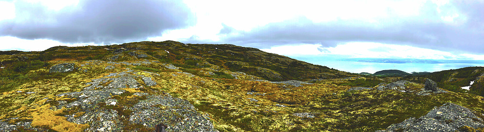 Bosbergheier, med Trondheimsfjorden bak til høyre