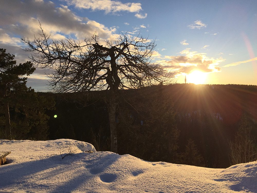 Tryvann fra Skjennungsstua på vinteren