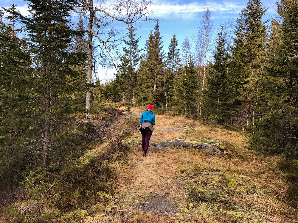 Gammel skogsvei i forlengelse av Heikampveien, lettgått og fin