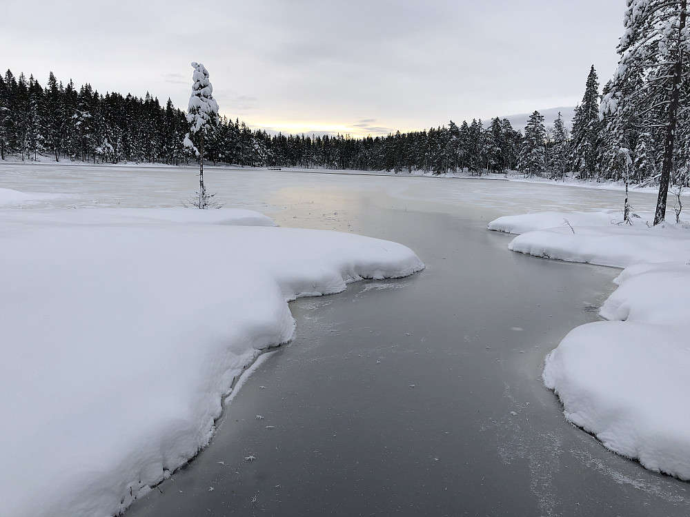 Vann sør for Sørskogen 352 moh
