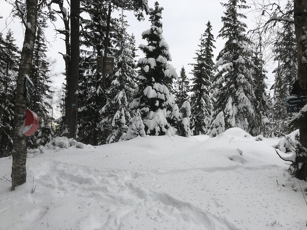 Brennberget