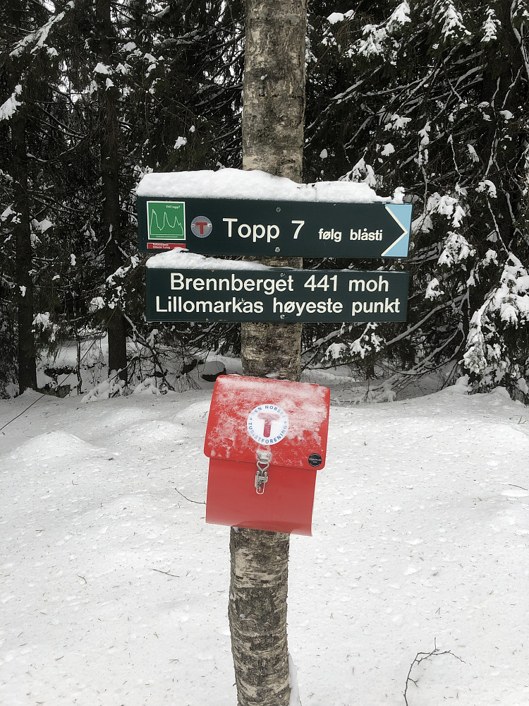 Brennberget del av Topp 7