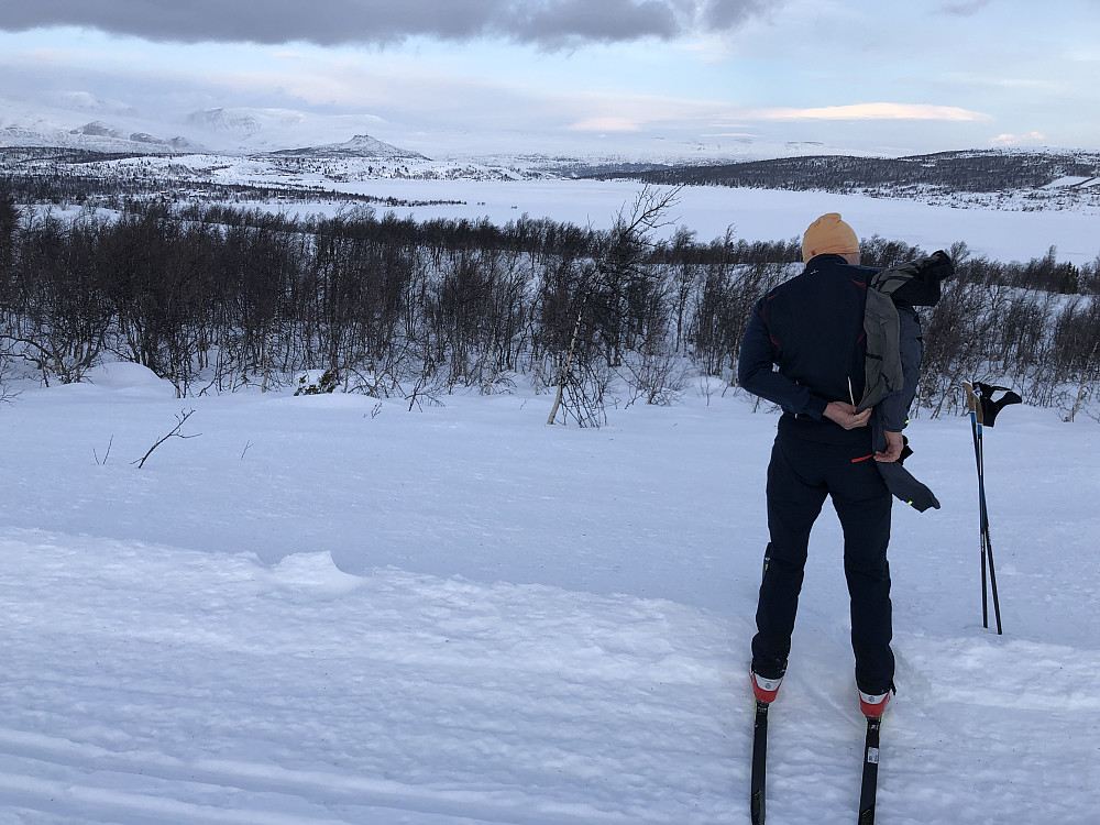 Petter og Hugakøllen