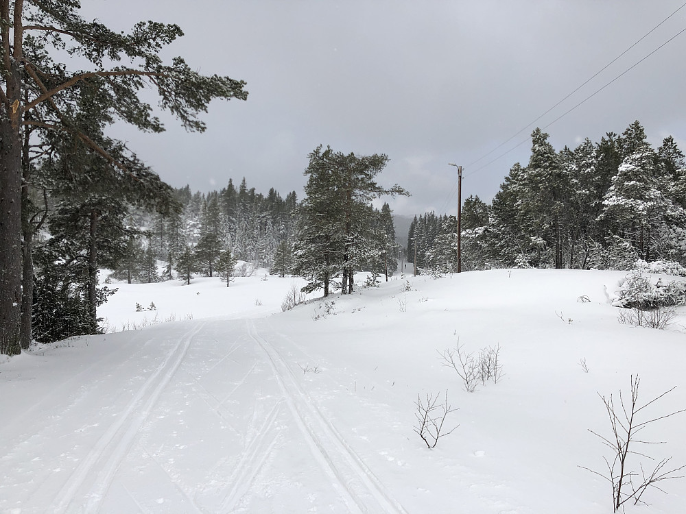 De første kneikene er unnagjort. Grått og vind.