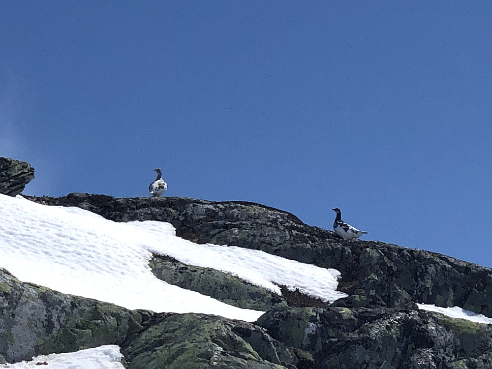 Draktskifte på gang
