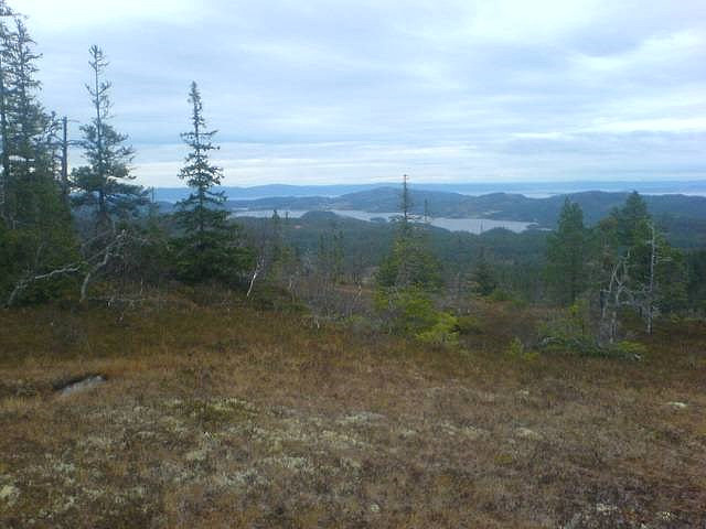 Langåsen