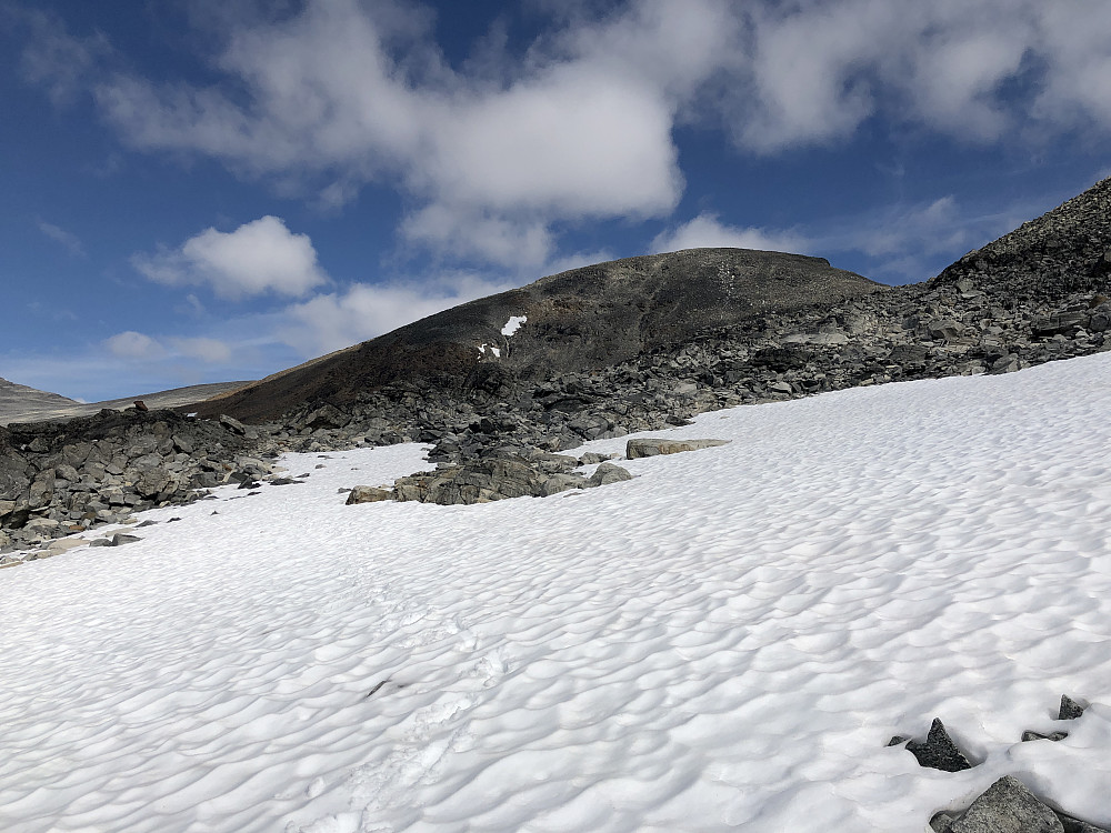 På tilbaketur, omsider nede fra den løse ura i vest og sørvestflanken av Sør for Nørdre Blåbreahø (2154 moh). 