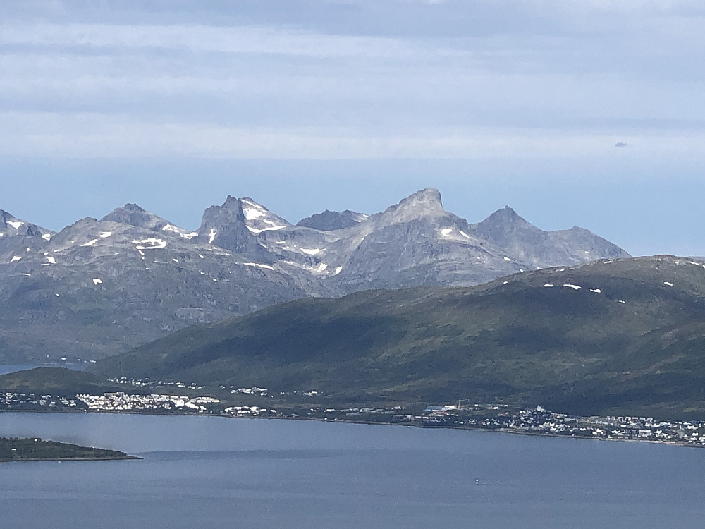 Store Blåmann litt til høyre for midten