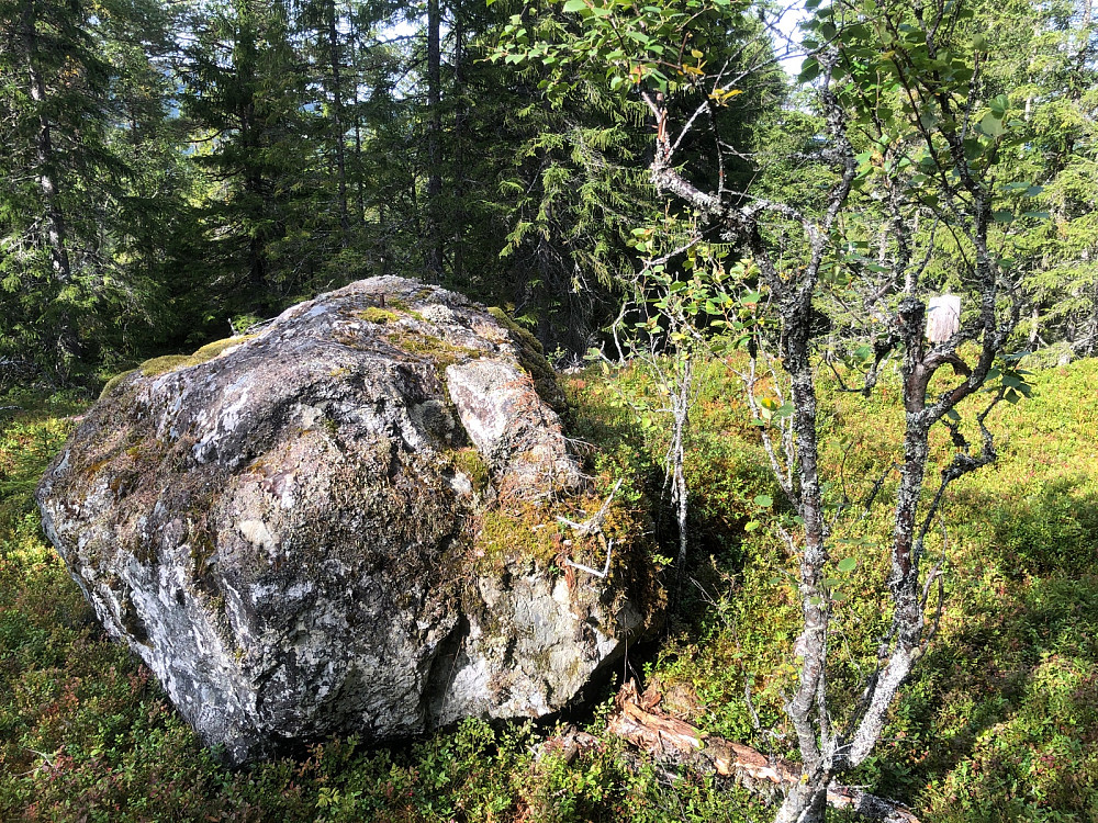 Toppen med triggpunkt