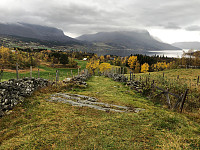 Gråbein_20201010_5f81a2cbdef94.jpg
