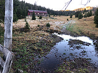 Gråbein_20201108_5fa809b61bc3f.jpg