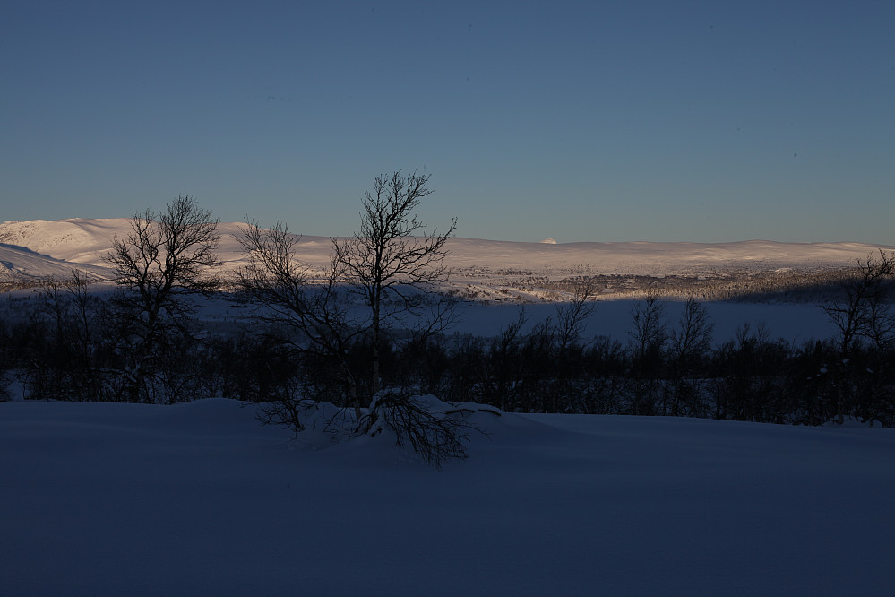 Bitihorn i det fjerne