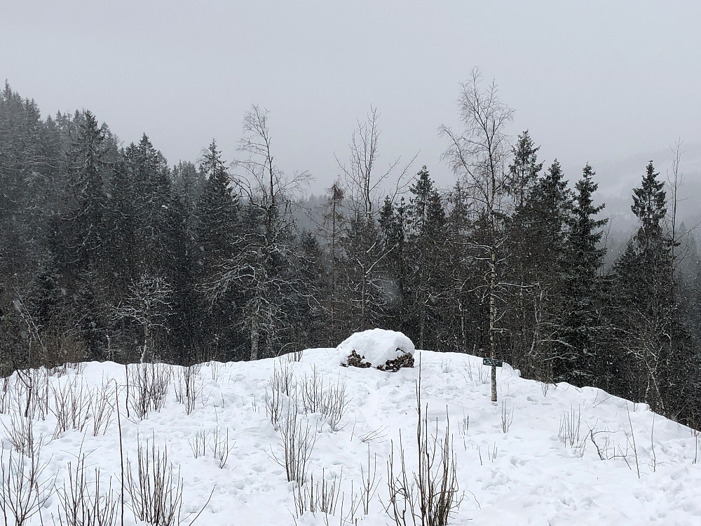 En grå og snøete dag i marka. På vei til Rishøgda
