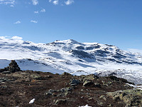 Gråbein_20210502_608eaa1d179db.jpg