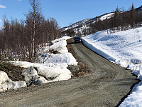 Gråbein_20210502_608eaa1f11a8e.jpg