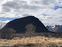 Gråbein_20210523_60aa447ea6e86.jpg