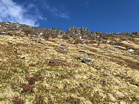 Gråbein_20210524_60abb12c7e001.jpg