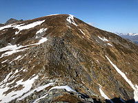 Gråbein_20210526_60ae2b84ec868.jpg