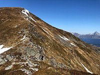 Gråbein_20210526_60ae2b86cd39b.jpg
