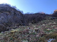 Gråbein_20210526_60ae2b88a977a.jpg