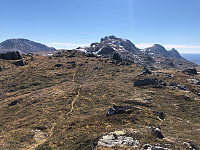 Gråbein_20210527_60af72067d72a.jpg