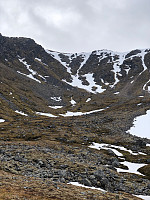 Gråbein_20210529_60b22a44afacc.jpg