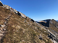 Gråbein_20210602_60b7745faa5bf.jpg