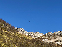 Gråbein_20210602_60b774604aaef.jpg