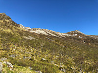 Gråbein_20210602_60b774616a105.jpg