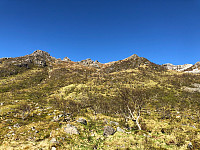 Gråbein_20210602_60b774620ed94.jpg