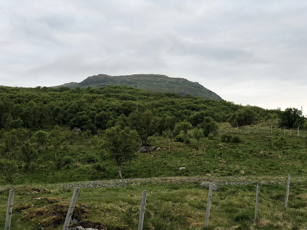 Toppen sett fra p-plassen